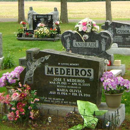 MEDEIROS 49151